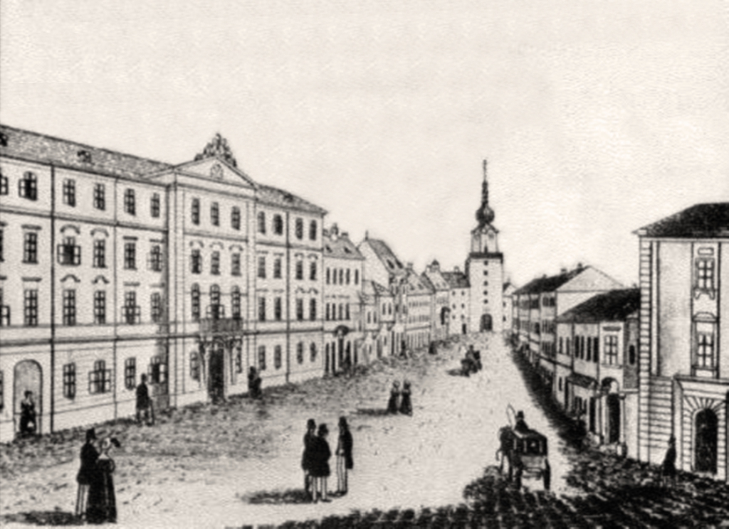 A Magyar Országgyűlés Háza (1802-1848)